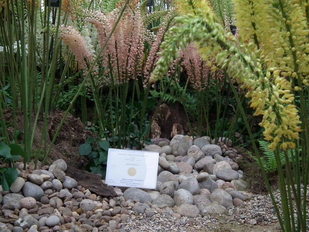 Floral marquee in the long water area 15